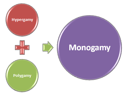 Hypergamy polygamy monogamy