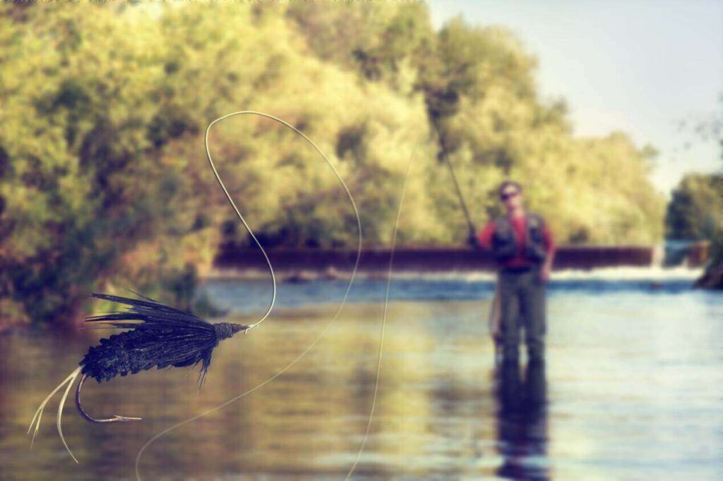fishing amateur